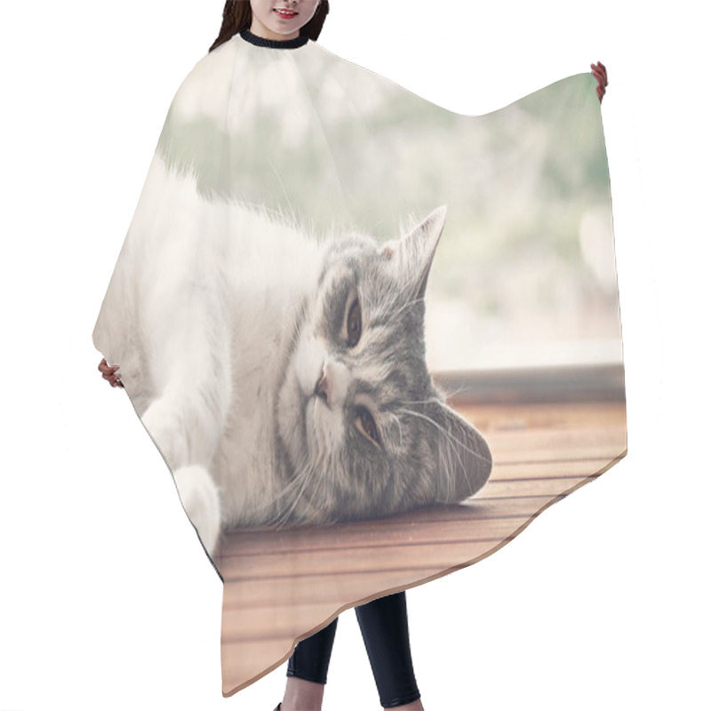 Personality  Cat Lying Hair Cutting Cape