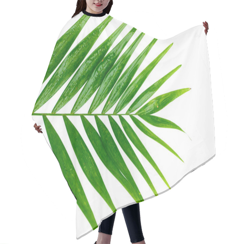 Personality  Beautiful Palm Leaf Isolated On White Hair Cutting Cape