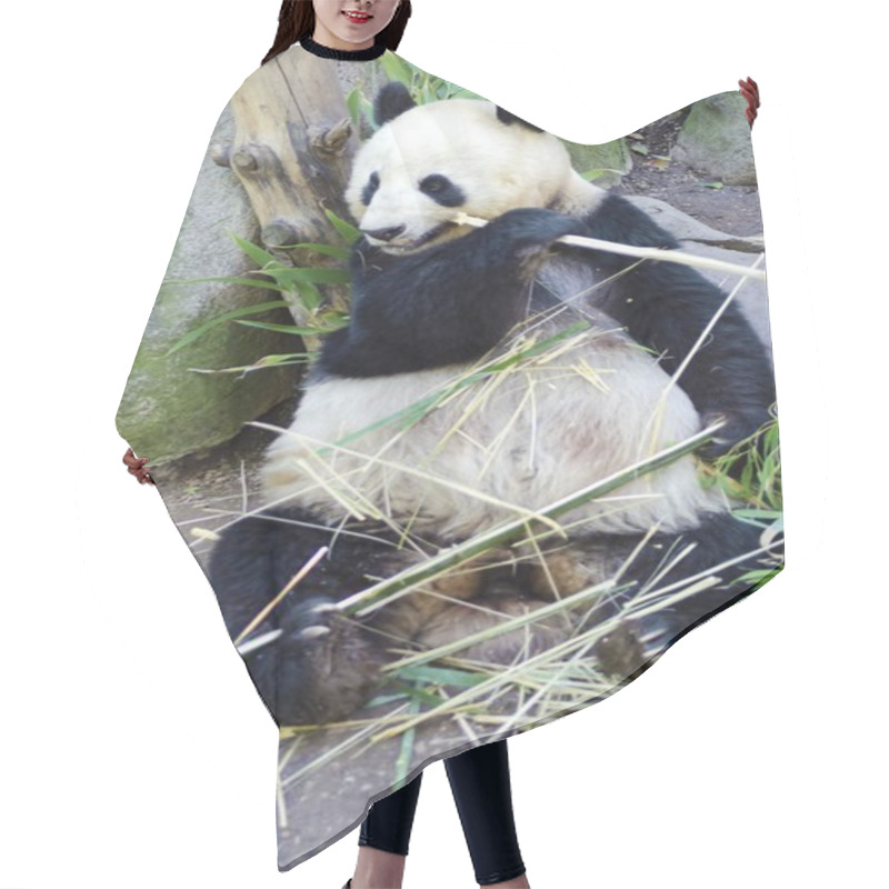 Personality  Panda Hair Cutting Cape