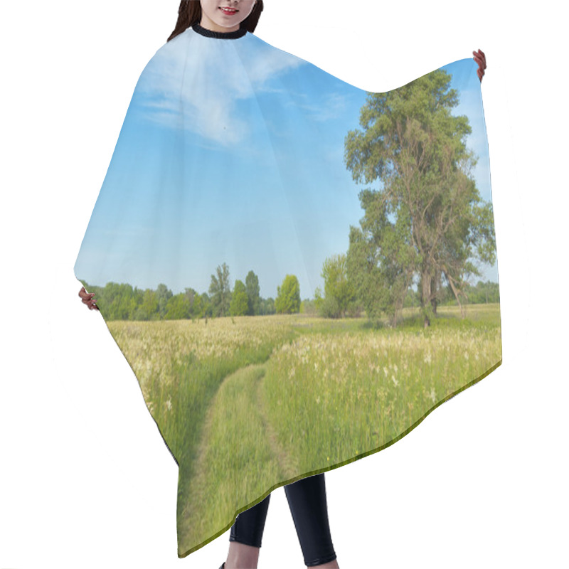 Personality  Beautiful Country Road, Green Meadow Hair Cutting Cape