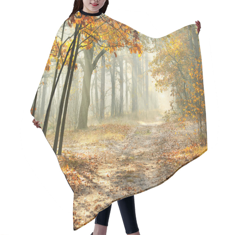 Personality  Morning In The Autumn Forest Hair Cutting Cape