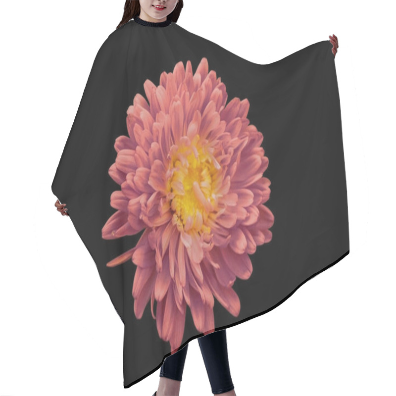 Personality  Red Chrysanthemum On Black Isolated Background Hair Cutting Cape