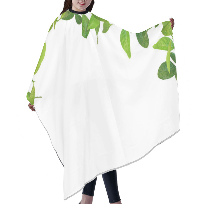 Personality  Green Leaves Frame Hair Cutting Cape