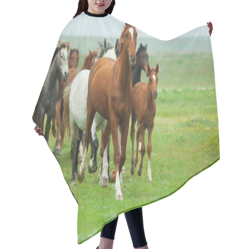 Personality  Horses Running Hair Cutting Cape