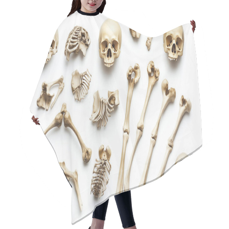 Personality  A Collection Of Ancient Human Skeleton Bones Laid Out For Study, Suggesting Archaeological Or Paleontological Exploration. Hair Cutting Cape