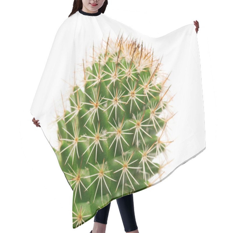 Personality  Cactus And Long Thorns  Hair Cutting Cape