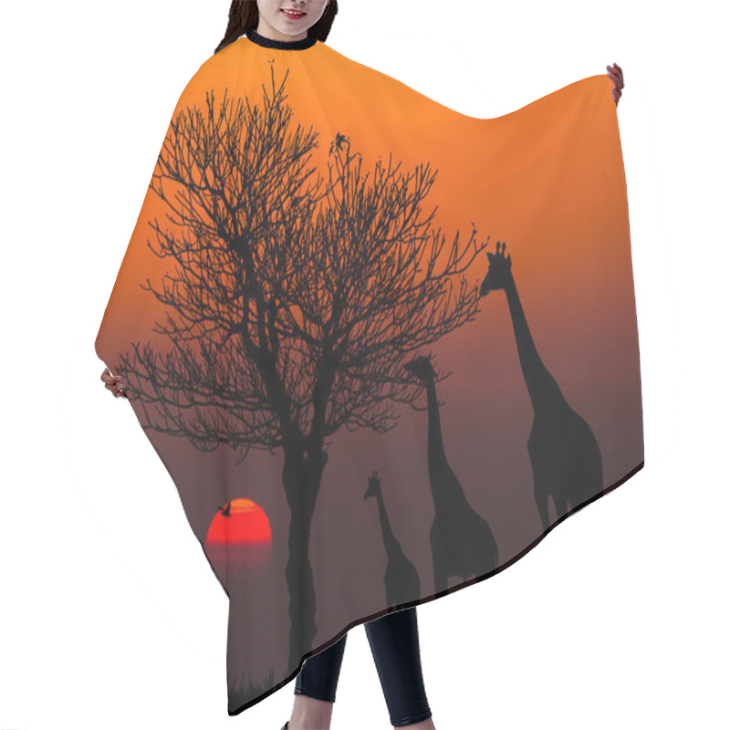 Personality  Silhouettes Of Giraffes And Dead Tree Against Sunset Background Hair Cutting Cape