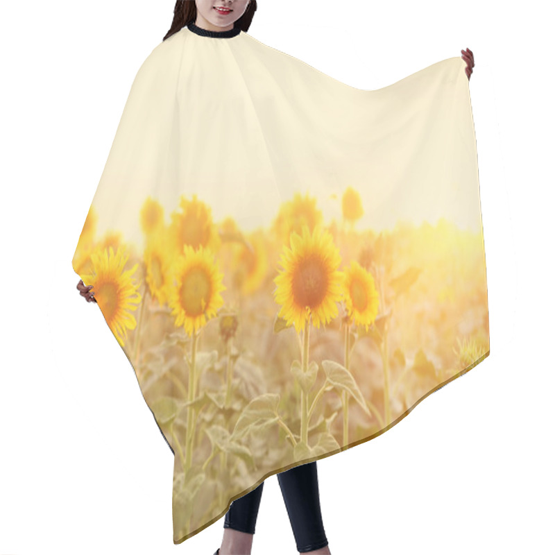 Personality  Beautiful Sunflower Field In Morning Hair Cutting Cape