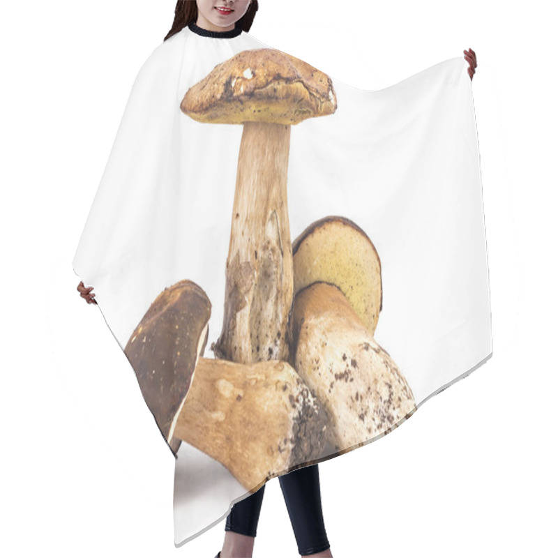 Personality  Fresh Ripe Boletus Edulis Hair Cutting Cape