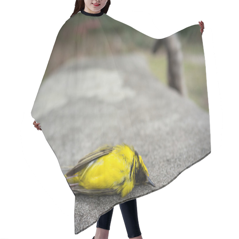 Personality  Dead Yellow Hooded Warbler Bird On A Park Bench Hair Cutting Cape