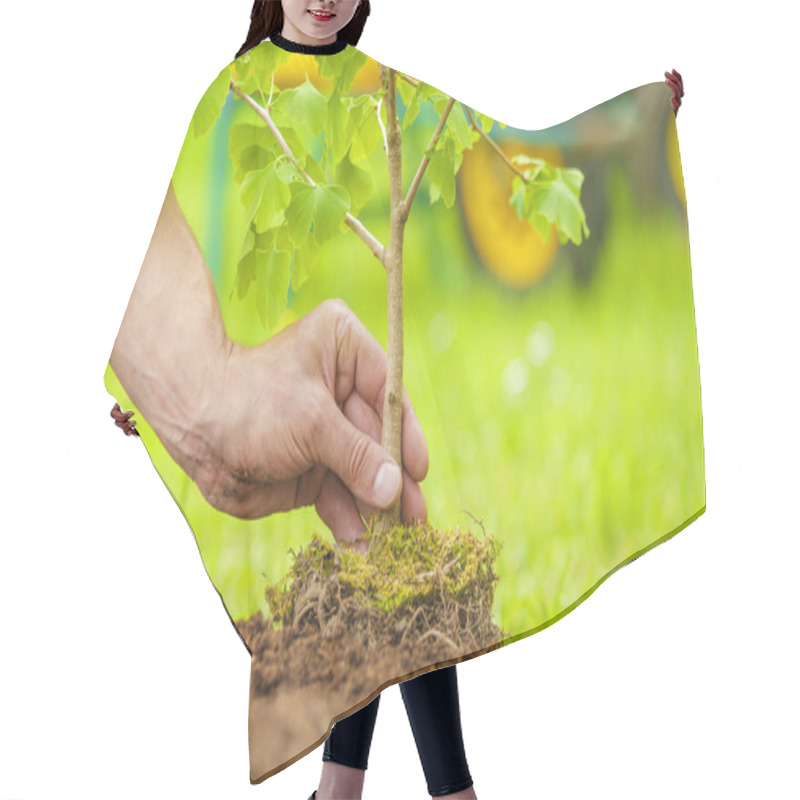 Personality  Hand Planting Small Tree With Roots In A Garden Hair Cutting Cape