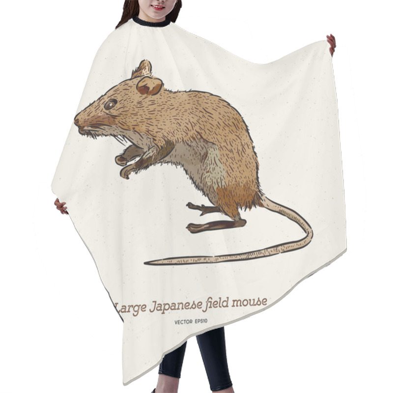 Personality  The Large Japanese Field Mouse (Apodemus Speciosus), Hand Draw S Hair Cutting Cape