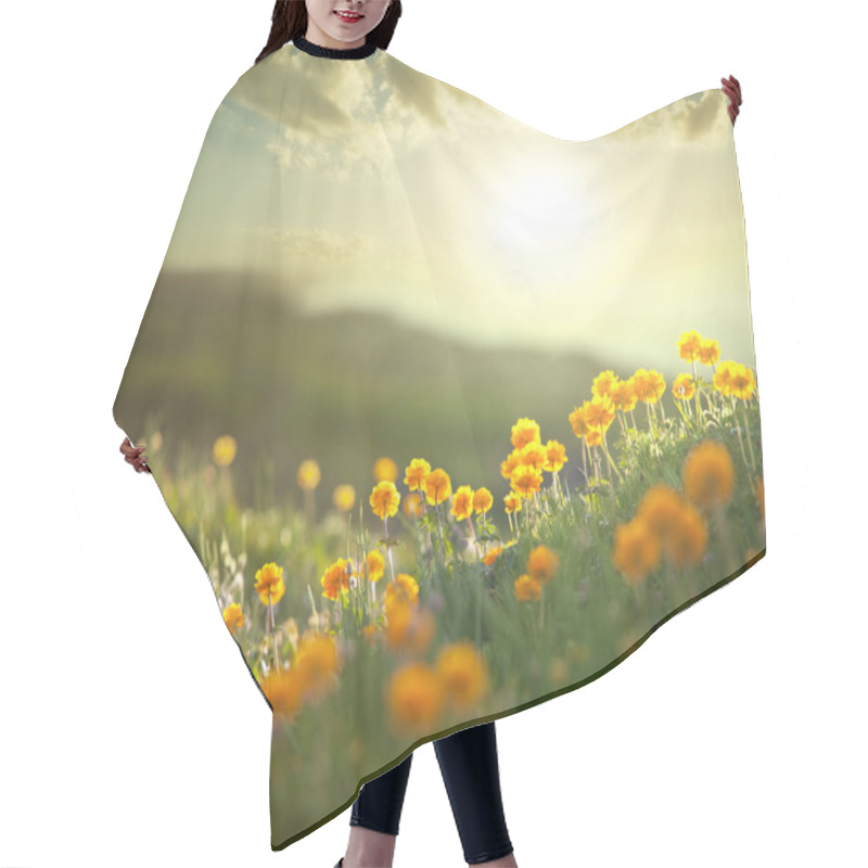 Personality  Meadow Hair Cutting Cape