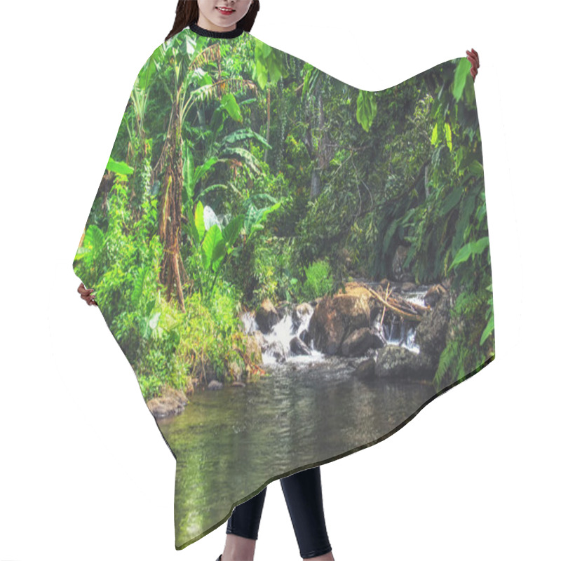 Personality  Rugged Mountain Stream Surrounded By Lush Tropical Flora In The Rainforest Of Suva, Fiji Hair Cutting Cape