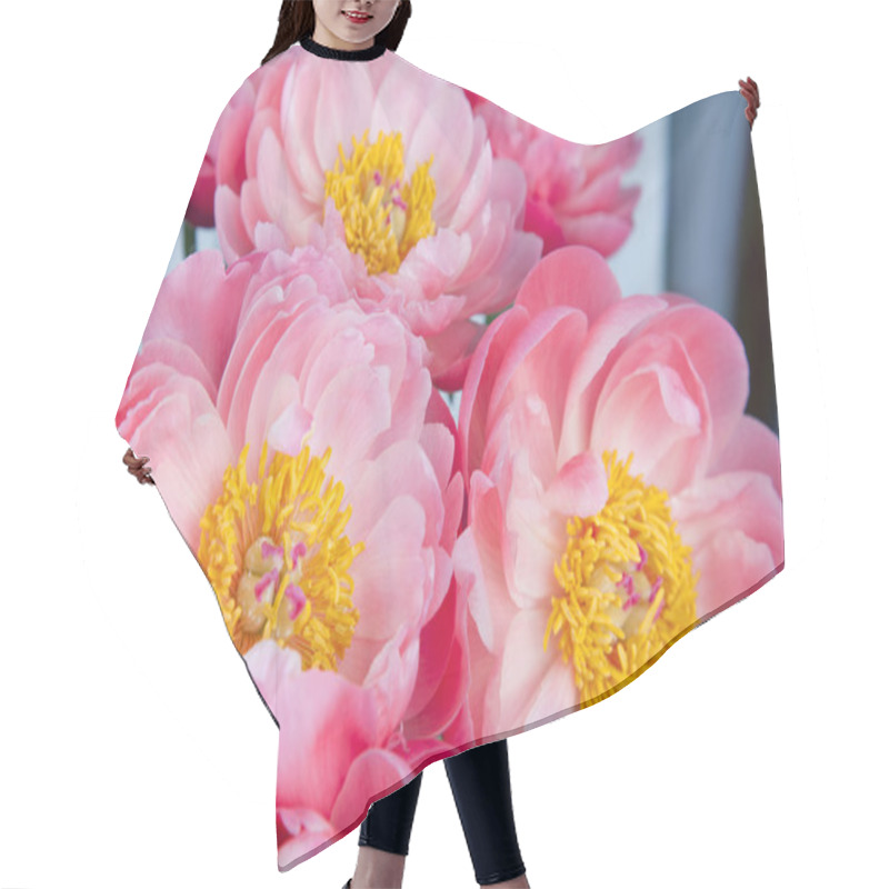 Personality  Bouquet Of Pink Peonies Hair Cutting Cape