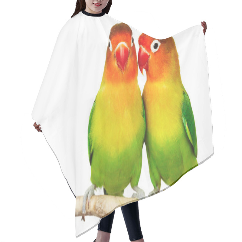 Personality  Pair Of Lovebirds Hair Cutting Cape