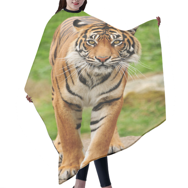 Personality  Bengal Tiger Hair Cutting Cape