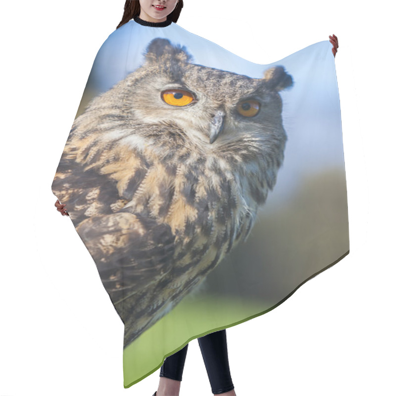 Personality  European Eagle Owl Hair Cutting Cape