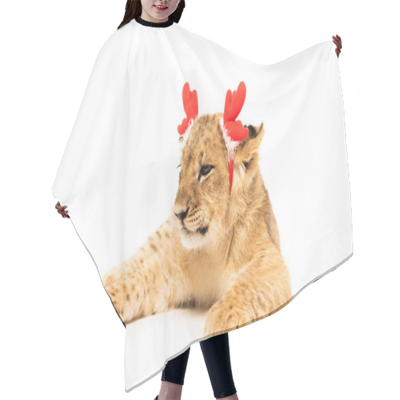 Personality  Cute Lion Cub In Red Deer Horns Headband Isolated On White Hair Cutting Cape