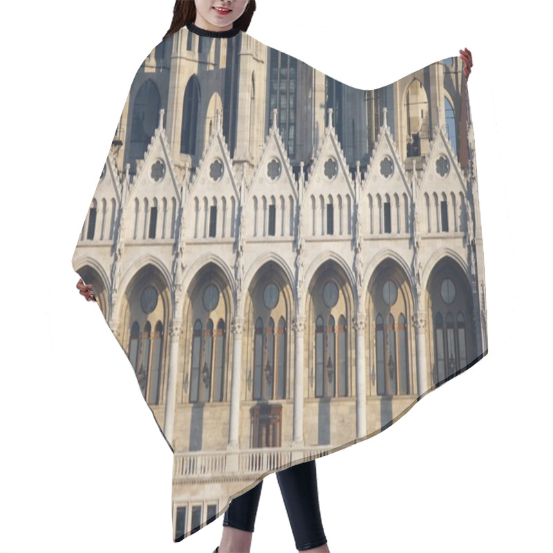 Personality  Parliament Hair Cutting Cape