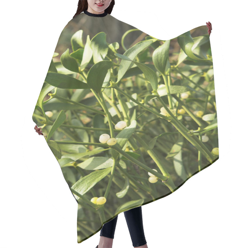 Personality  Mistletoe Plant Hair Cutting Cape