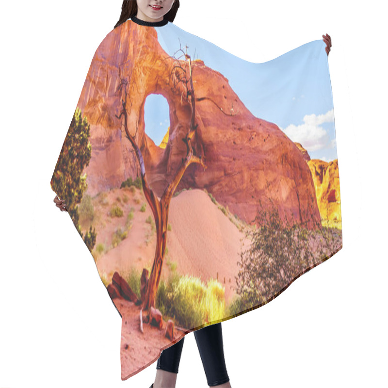 Personality  Dead Tree In Front Of The Ear Of The Wind, A Hole In A Rock Formation In Monument Valley Navajo Tribal Park On The Border Of Utah And Arizona, United States Hair Cutting Cape