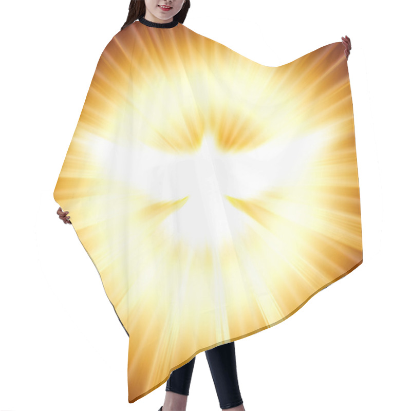 Personality  Shining Dove With Rays On A Dark Hair Cutting Cape