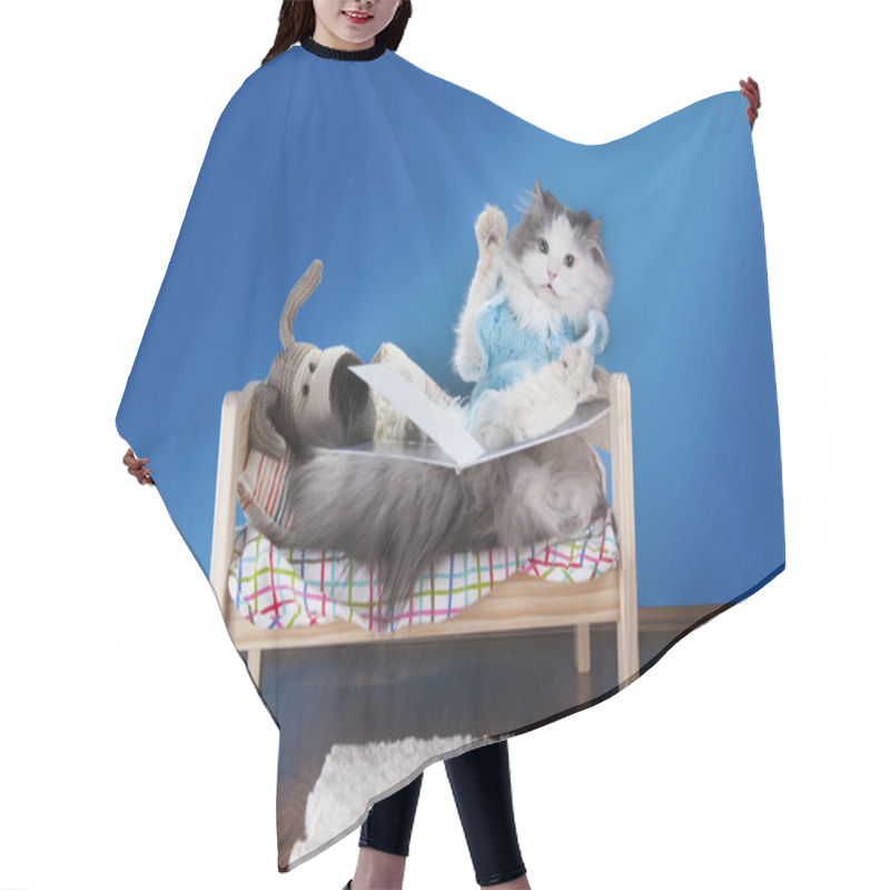 Personality  Cat Reading A Tale Toy Dog Hair Cutting Cape