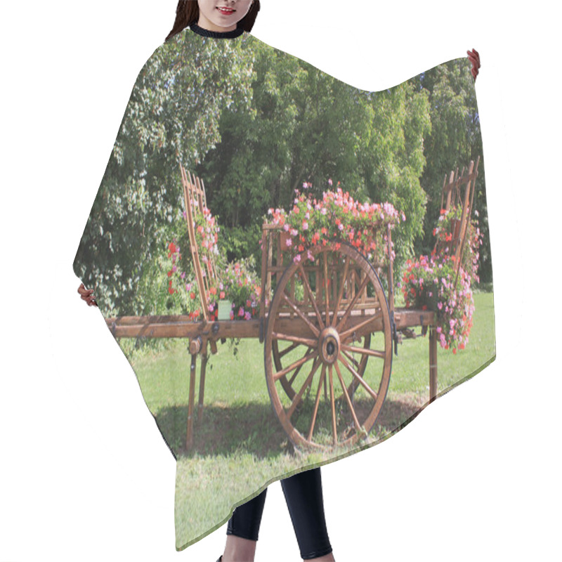 Personality  Cart For Agricultural Hair Cutting Cape