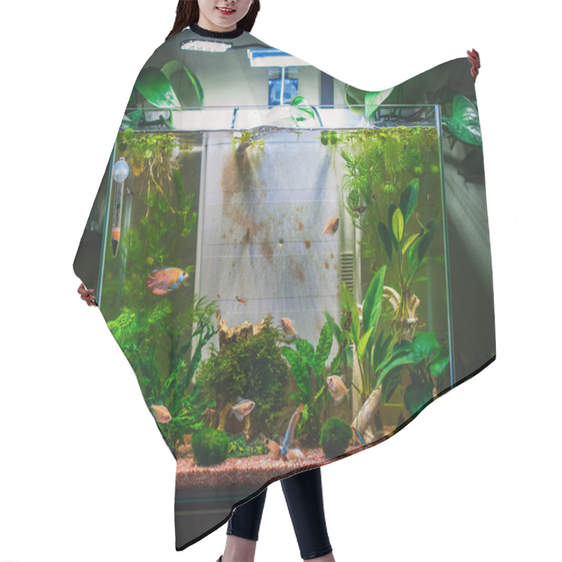 Personality  A Great Jungle Planted Aquarium Hair Cutting Cape