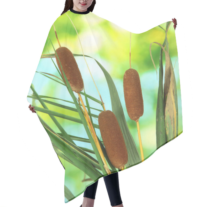 Personality  Reeds On Green Background Hair Cutting Cape