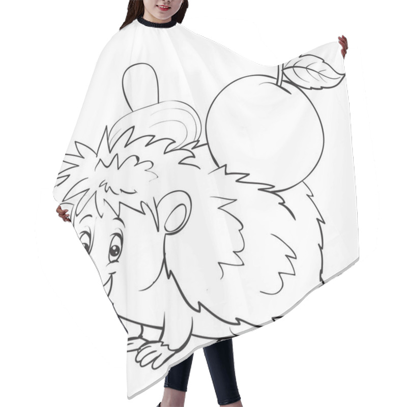 Personality  Cartoon Style Hedgehog With An Apple On The Back Is Drawn In Outline, Isolated Object On A White Background, Vector Illustration, Hair Cutting Cape