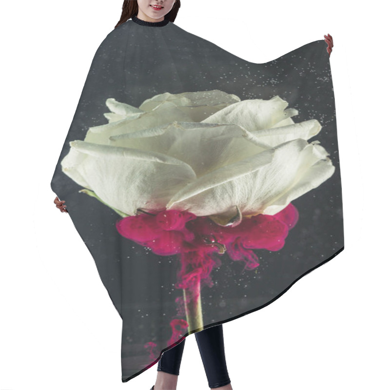 Personality  Close-up View Of Beautiful Tender White Rose Flower And Pink Ink On Black  Hair Cutting Cape