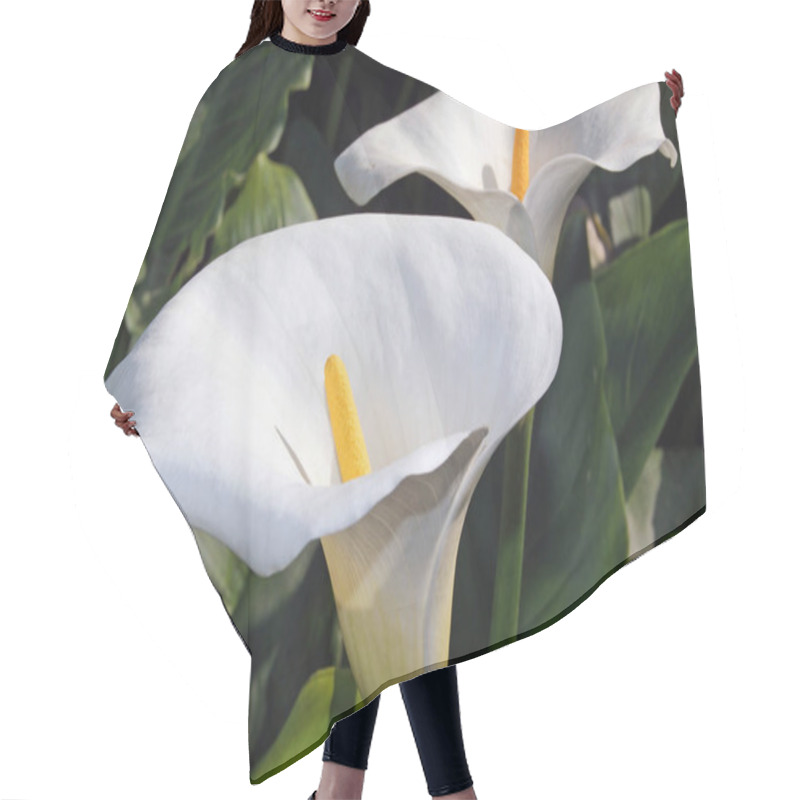 Personality  Exotic Calla Lily Flowers Petals, Flora And Botany Hair Cutting Cape