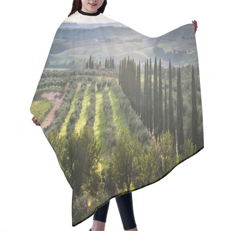 Personality  Panoramic View Of Scenic Tuscany Landscape With Vineyard Hair Cutting Cape