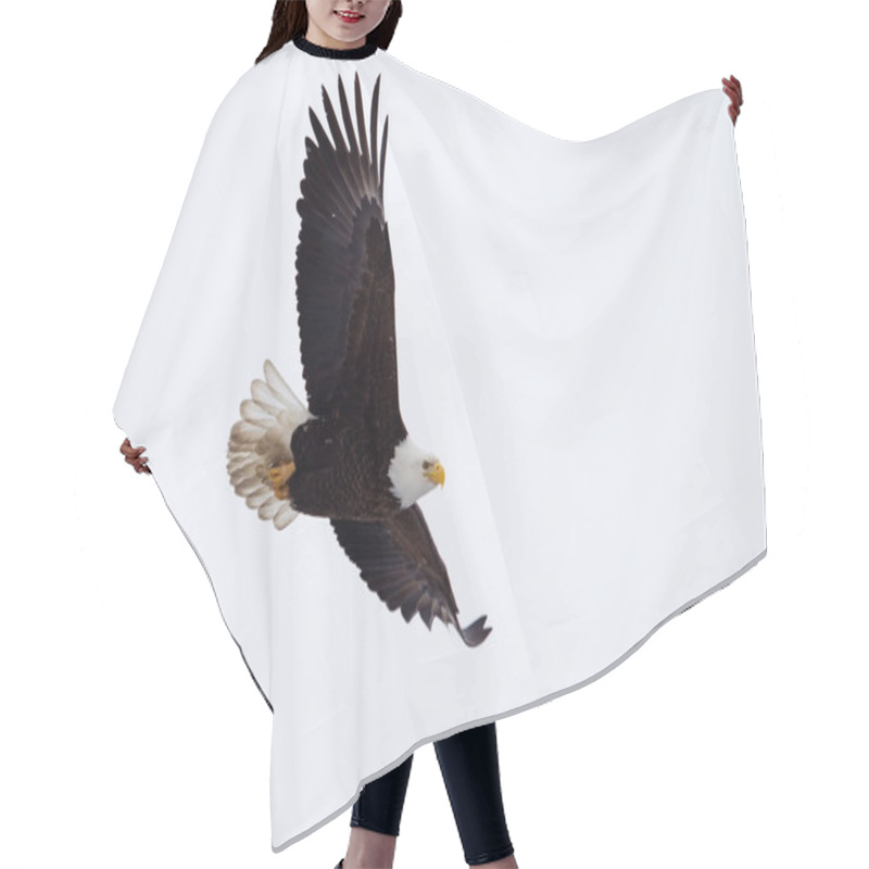 Personality  American Bald Eagle Flying Hair Cutting Cape