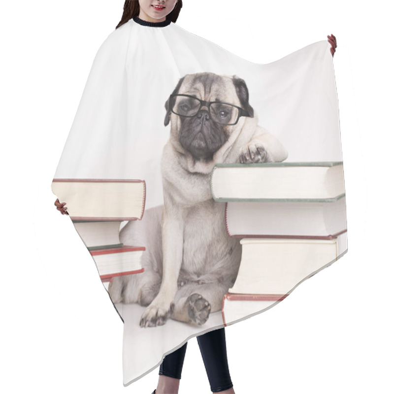 Personality  Smart Intelligent Pug Puppy Dog With Reading Glasses, Sitting Down Between Piles Of Books, On White Background Hair Cutting Cape