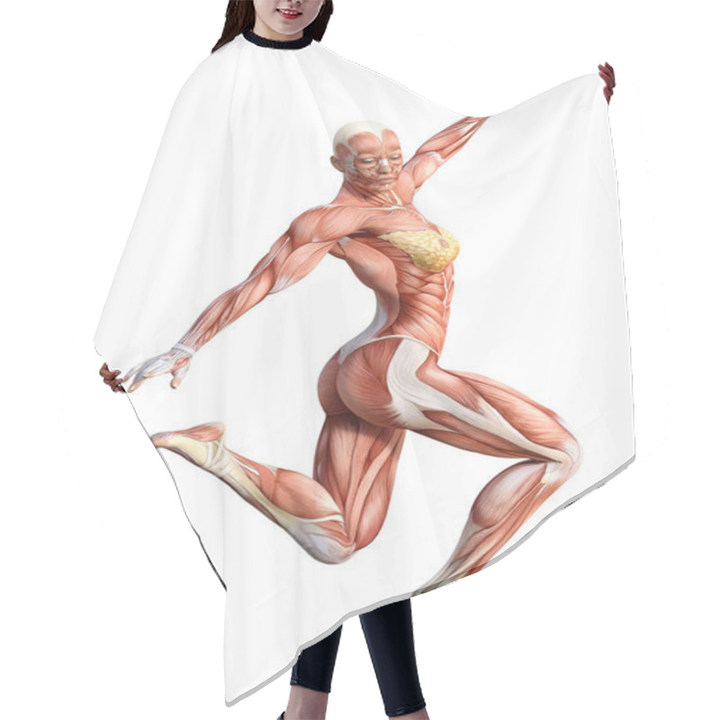 Personality  3D Rendering Female Anatomy Figure On White Hair Cutting Cape