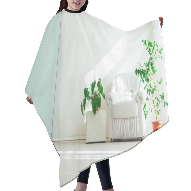 Personality  The Interior Of The White Room With Green Plants Hair Cutting Cape