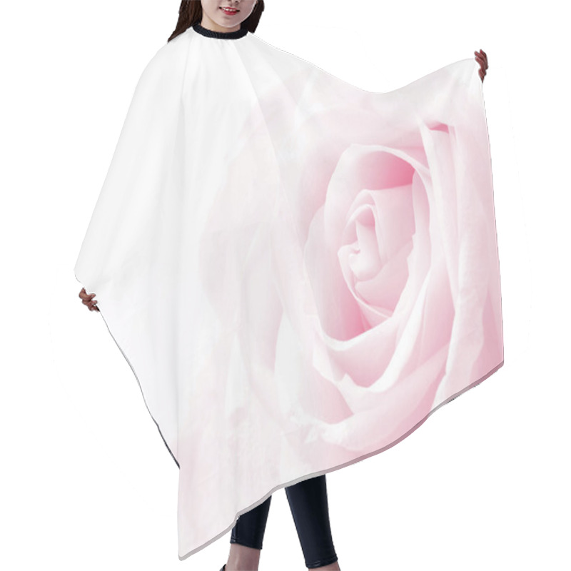 Personality  Pink Rose Close Up As Wedding Background. Soft Focus.  Hair Cutting Cape