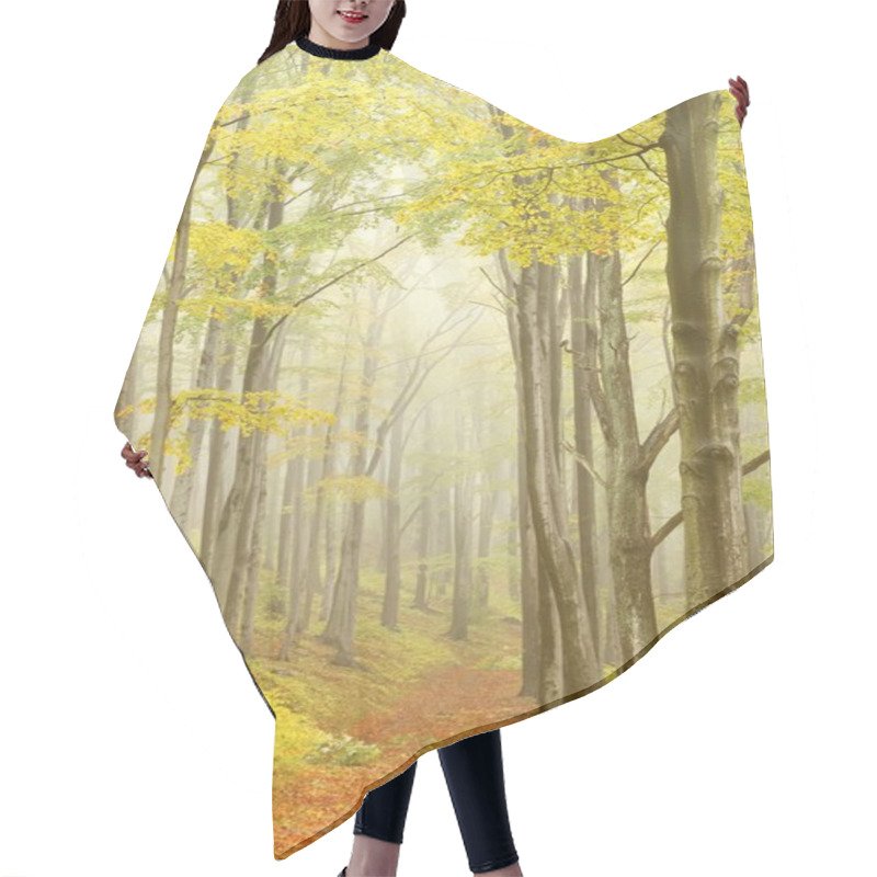 Personality  Picturesque Beech Forest Hair Cutting Cape