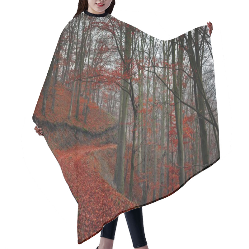 Personality  Pathway Through The Autumn Forest Hair Cutting Cape