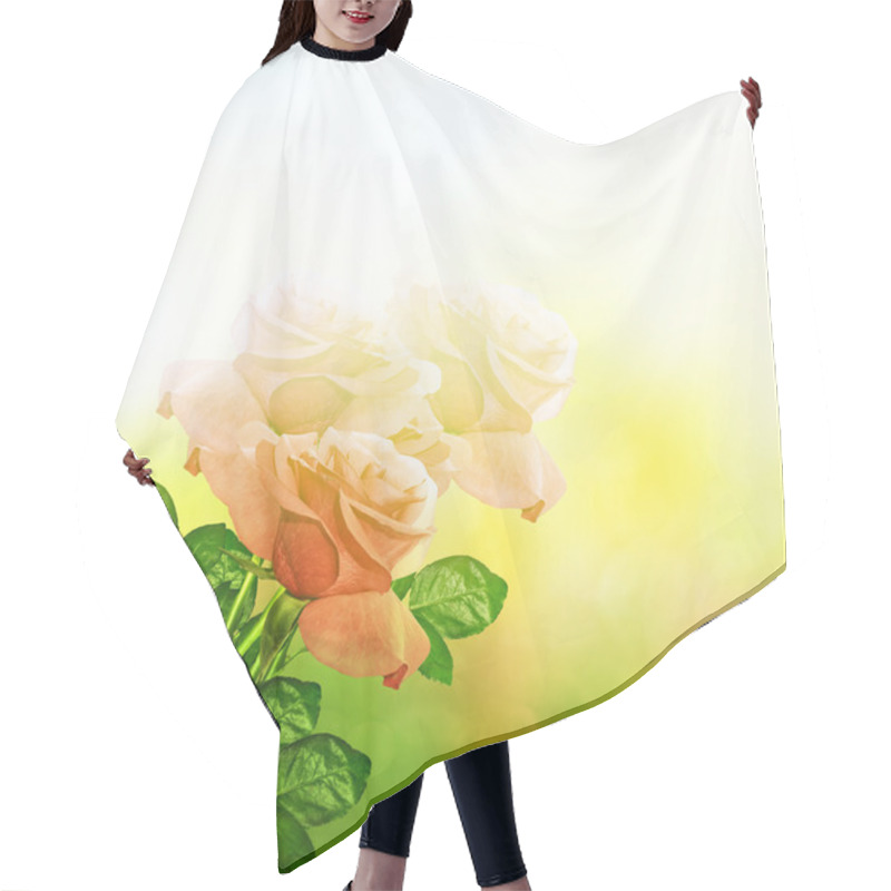 Personality  The Buds Of Flowers Roses. Holiday Card Hair Cutting Cape