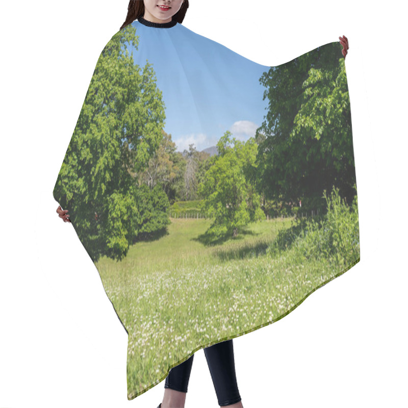 Personality  Trees In A Meadow On A Farm In A Country Estate On A Farm In Spring Hair Cutting Cape