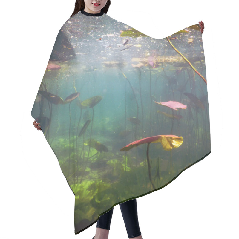 Personality  Lake Scene Underwater, Freshwater Flora, Clear Water Hair Cutting Cape