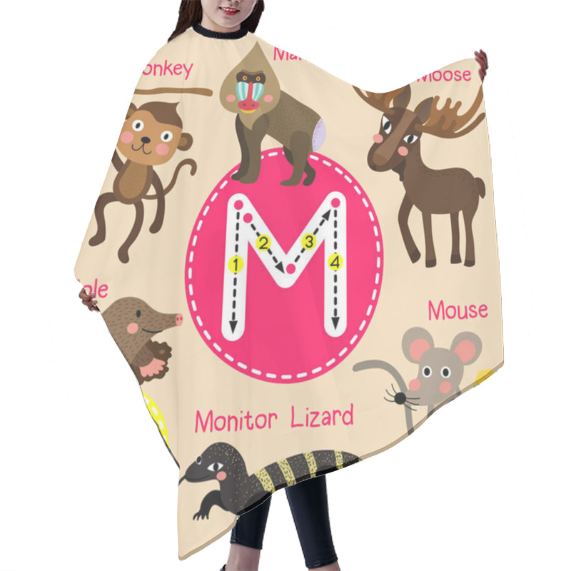 Personality  Cute Children Zoo Alphabet M Letter Tracing Of Funny Animal Cartoon For Kids Learning English Vocabulary Vector Illustration. Hair Cutting Cape