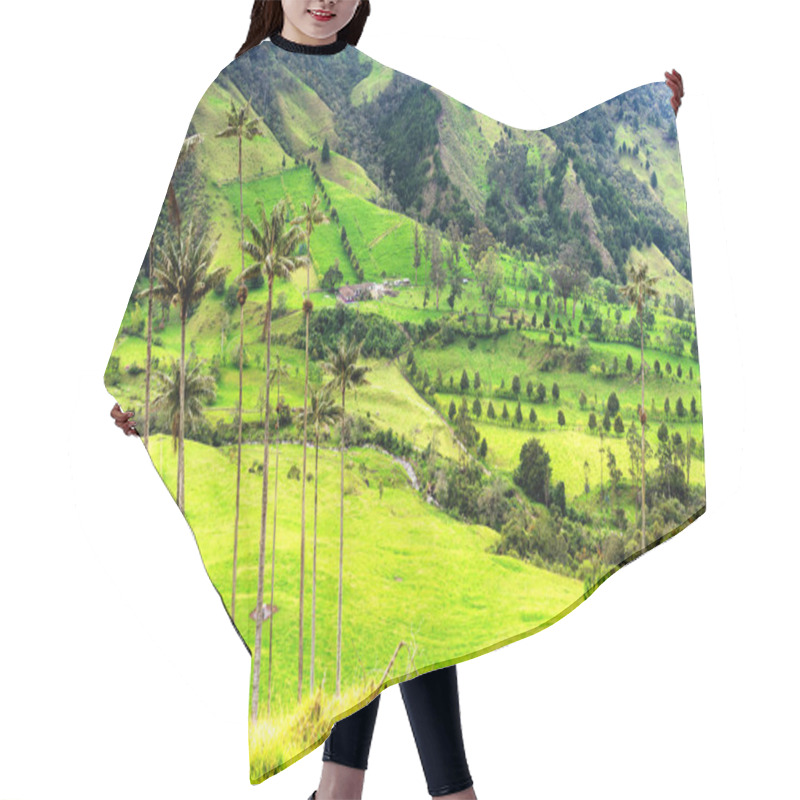 Personality  Landscape Of Wax Palm Trees (Ceroxylon Quindiuense) In Cocora Valley Or Valle De Cocora In Colombia Near Salento Town, South America Hair Cutting Cape