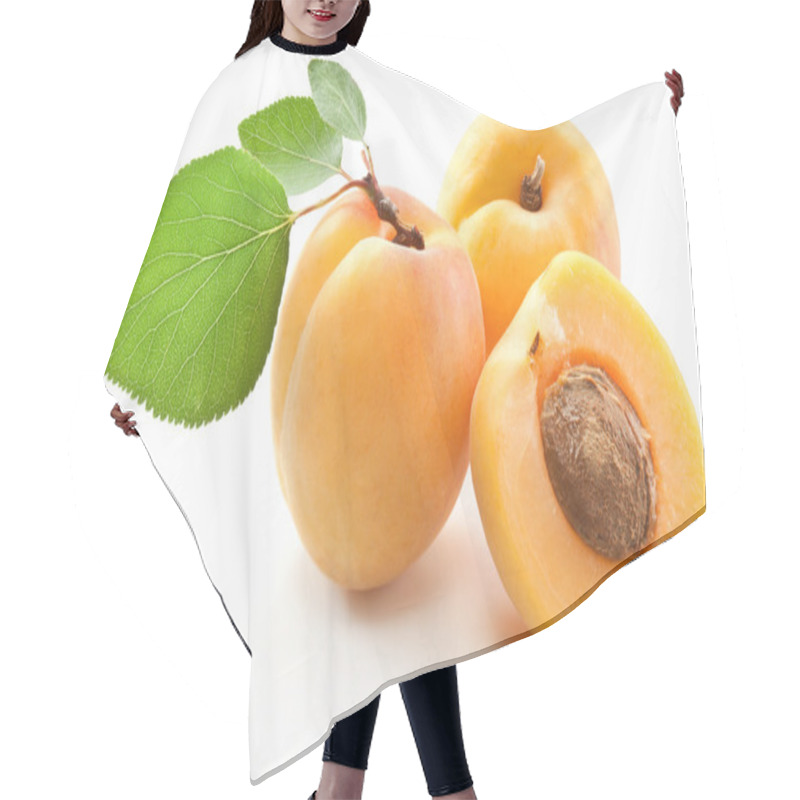 Personality  Apricots with leaves hair cutting cape