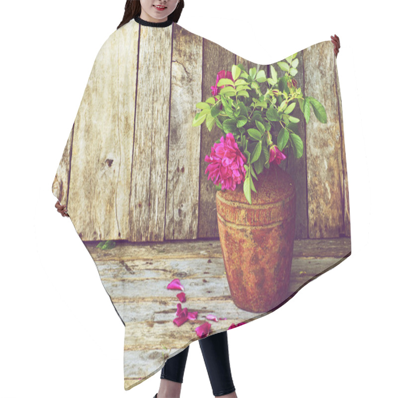 Personality  Wild Roses Still Life. Hair Cutting Cape