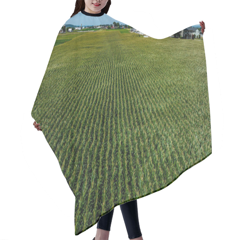 Personality  A Vast Expanse Of Green Corn Plants Fills The Landscape Under A Bright Blue Sky. Farm Buildings Dot The Horizon, Showcasing A Rural Setting Rich In Agricultural Life. Hair Cutting Cape